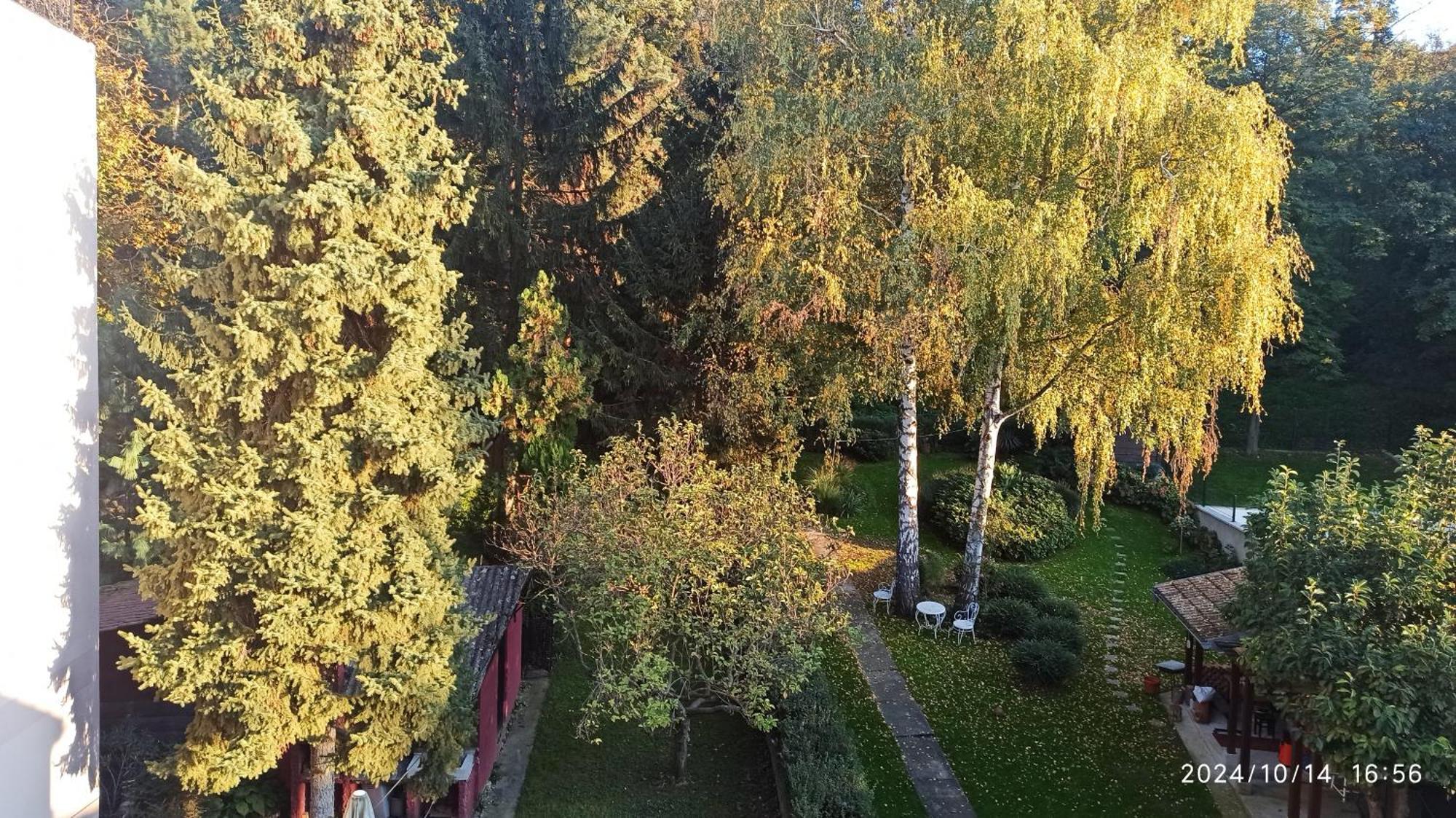 Apartman Oaza Olja Белград Экстерьер фото